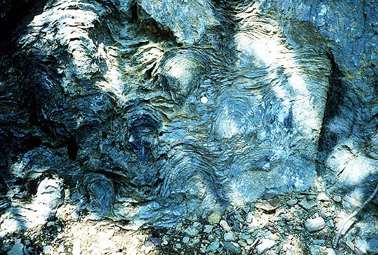 Prekambriske stromatolitter fra Glaciar National Park i USA. Foto: P. Carrara, NPS - National Park Service, via Wikimedia Commons